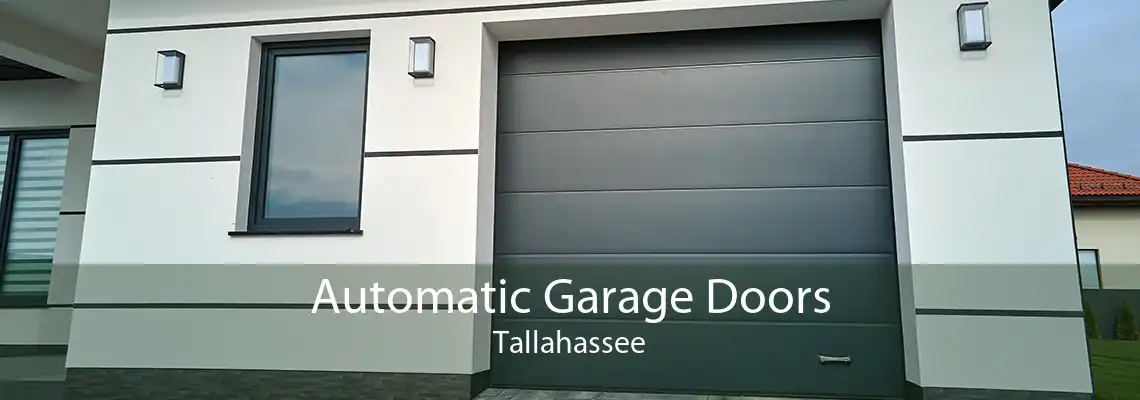Automatic Garage Doors Tallahassee