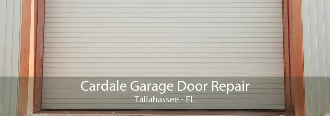 Cardale Garage Door Repair Tallahassee - FL