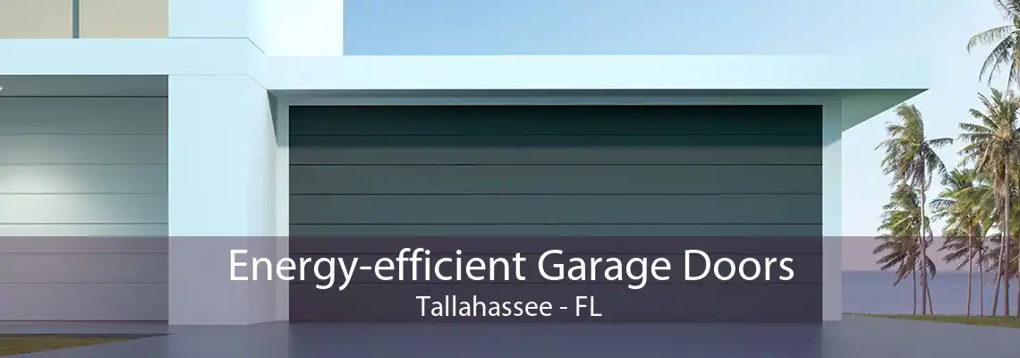 Energy-efficient Garage Doors Tallahassee - FL