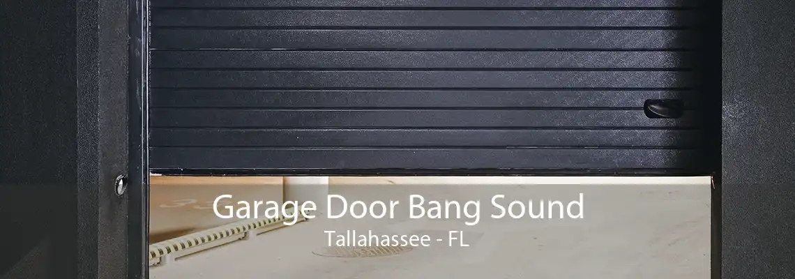 Garage Door Bang Sound Tallahassee - FL
