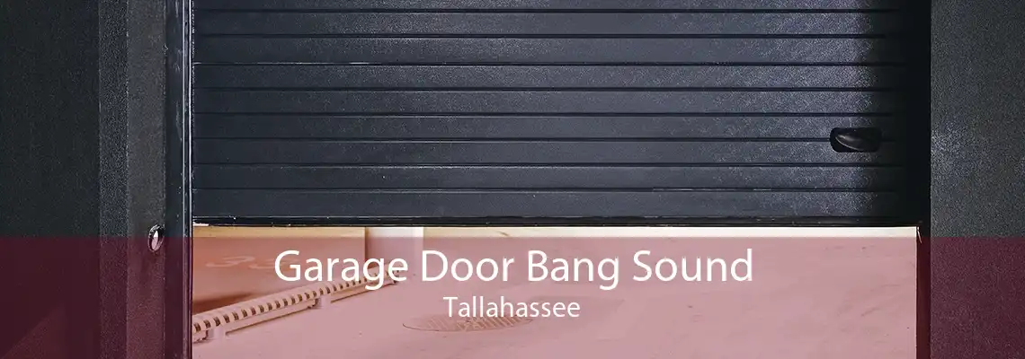 Garage Door Bang Sound Tallahassee