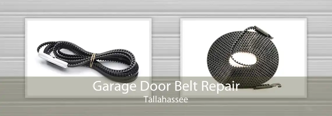 Garage Door Belt Repair Tallahassee