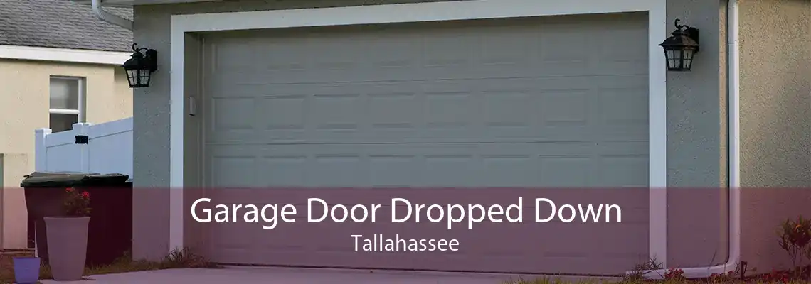 Garage Door Dropped Down Tallahassee