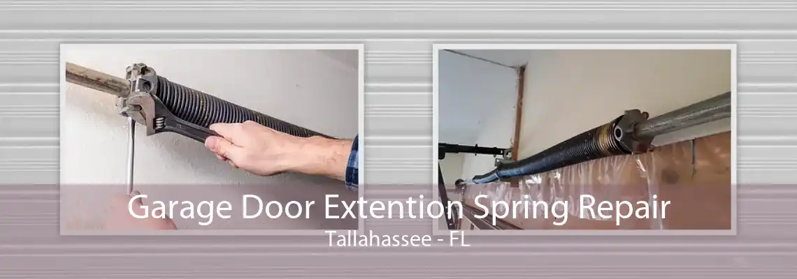 Garage Door Extention Spring Repair Tallahassee - FL