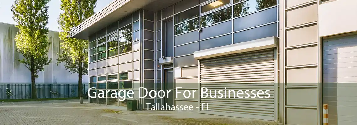 Garage Door For Businesses Tallahassee - FL