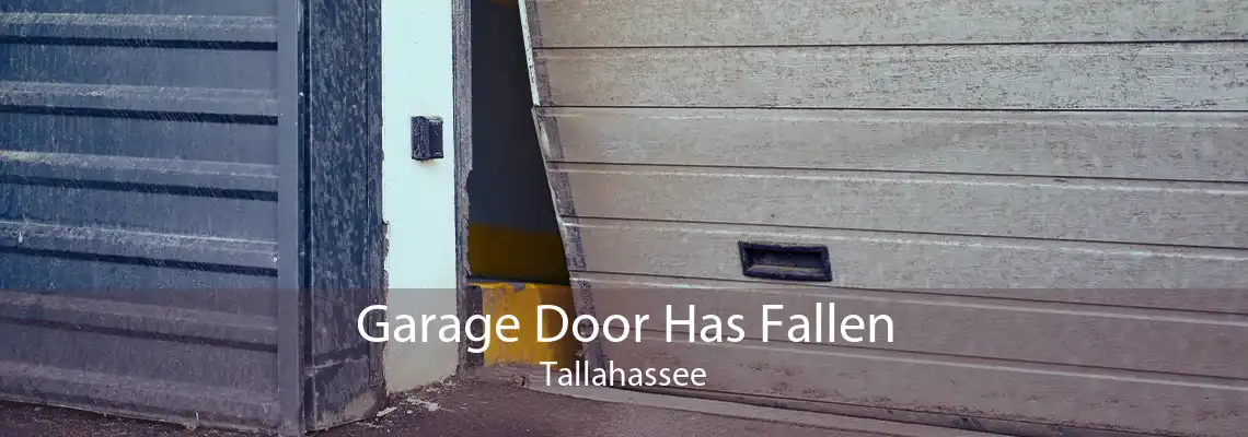 Garage Door Has Fallen Tallahassee