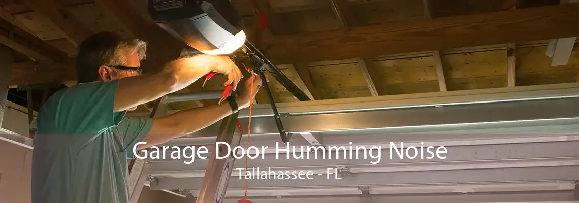 Garage Door Humming Noise Tallahassee - FL