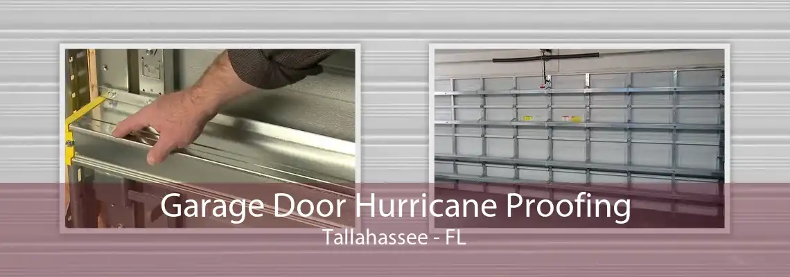 Garage Door Hurricane Proofing Tallahassee - FL