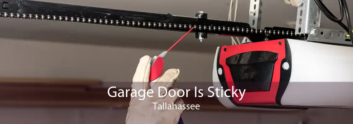 Garage Door Is Sticky Tallahassee