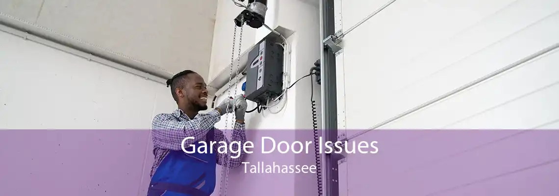 Garage Door Issues Tallahassee