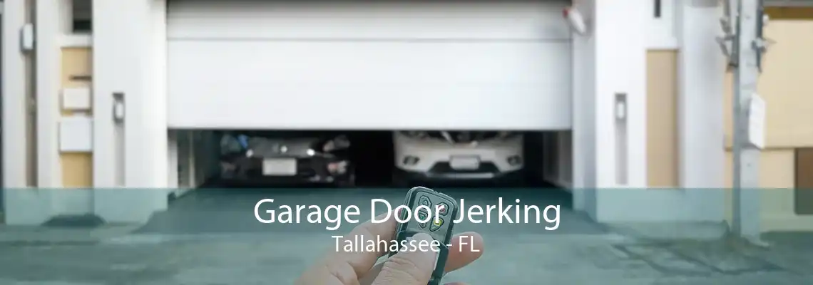 Garage Door Jerking Tallahassee - FL