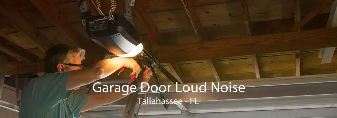 Garage Door Loud Noise Tallahassee - FL