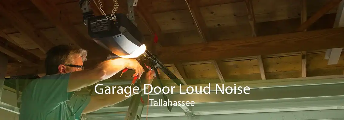 Garage Door Loud Noise Tallahassee