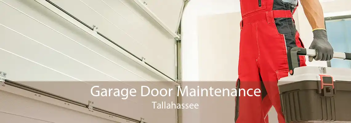 Garage Door Maintenance Tallahassee