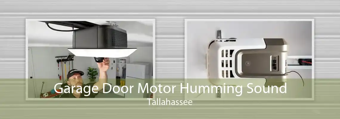 Garage Door Motor Humming Sound Tallahassee
