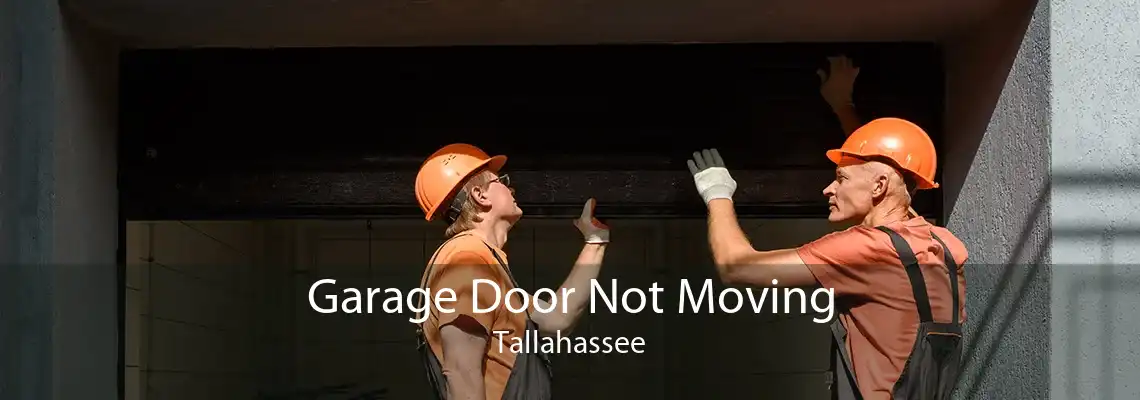 Garage Door Not Moving Tallahassee