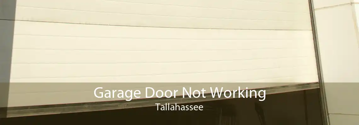 Garage Door Not Working Tallahassee
