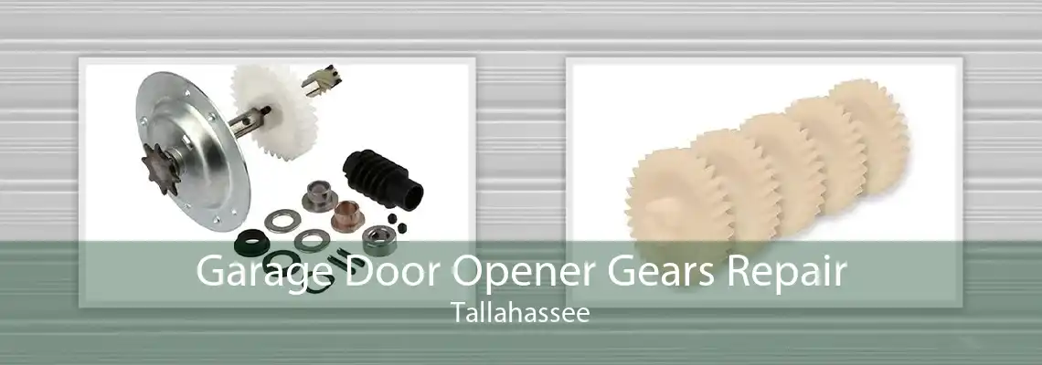 Garage Door Opener Gears Repair Tallahassee
