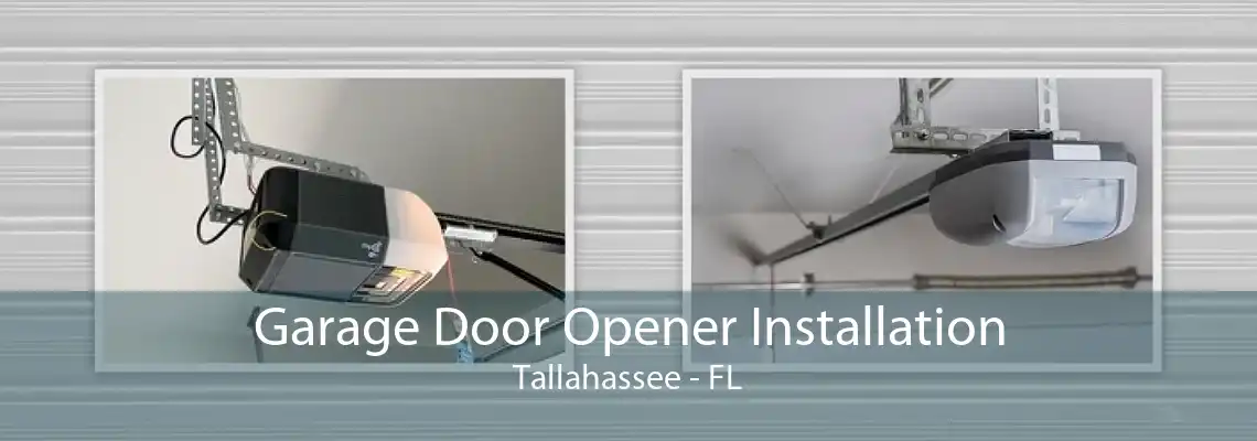 Garage Door Opener Installation Tallahassee - FL