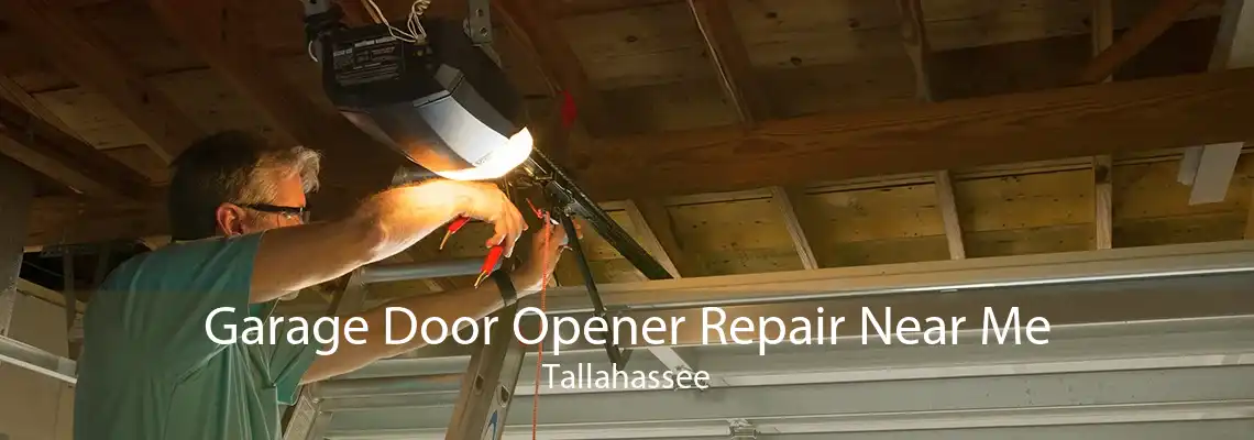 Garage Door Opener Repair Near Me Tallahassee
