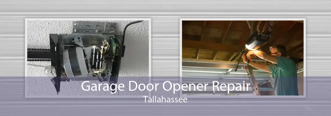 Garage Door Opener Repair Tallahassee