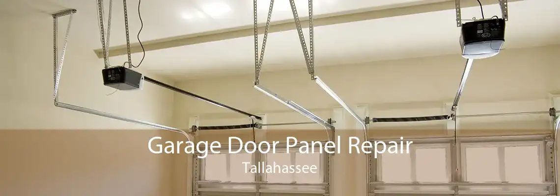 Garage Door Panel Repair Tallahassee