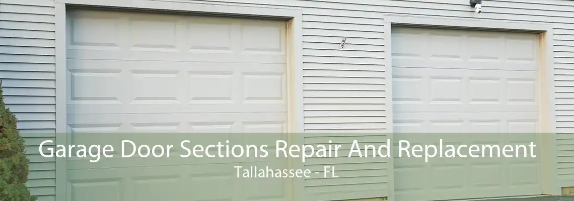 Garage Door Sections Repair And Replacement Tallahassee - FL