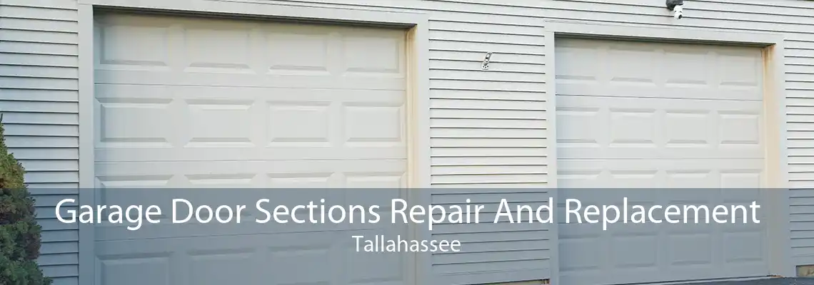 Garage Door Sections Repair And Replacement Tallahassee