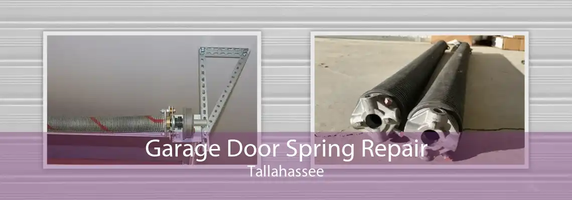 Garage Door Spring Repair Tallahassee
