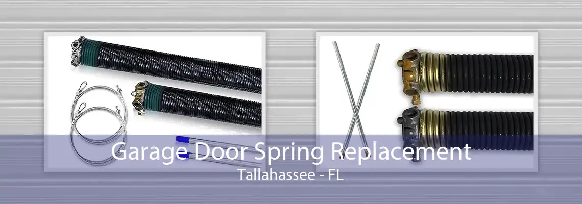 Garage Door Spring Replacement Tallahassee - FL