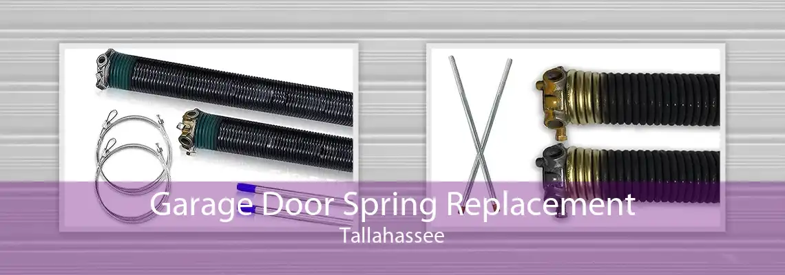 Garage Door Spring Replacement Tallahassee