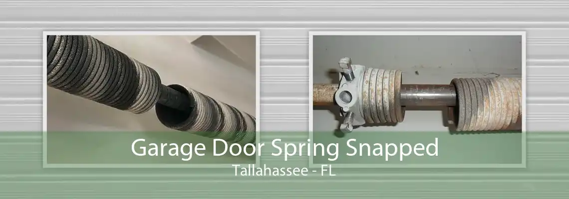 Garage Door Spring Snapped Tallahassee - FL