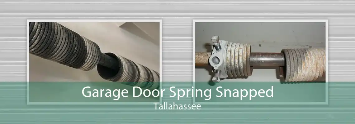 Garage Door Spring Snapped Tallahassee