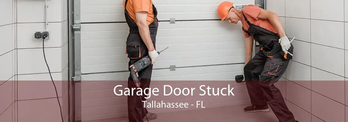 Garage Door Stuck Tallahassee - FL