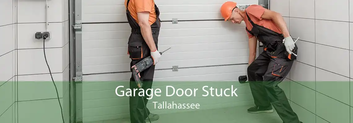Garage Door Stuck Tallahassee