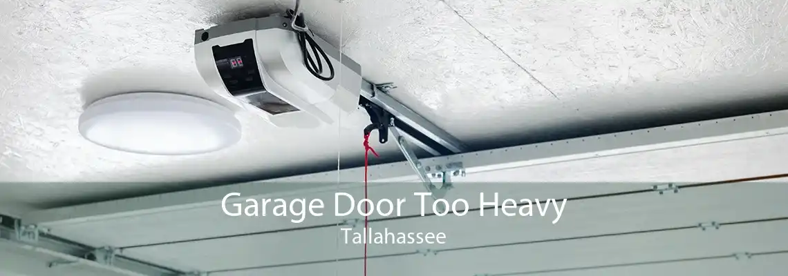 Garage Door Too Heavy Tallahassee
