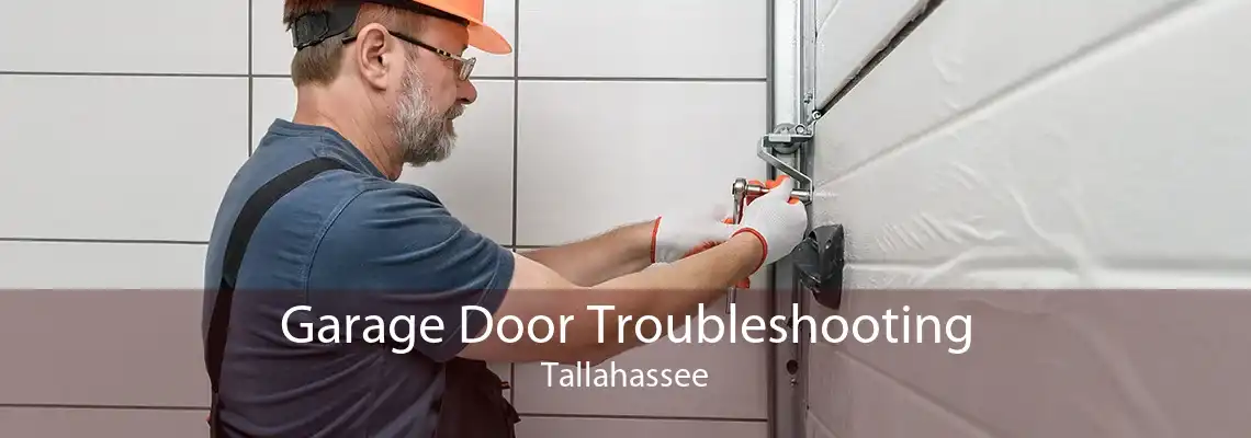 Garage Door Troubleshooting Tallahassee