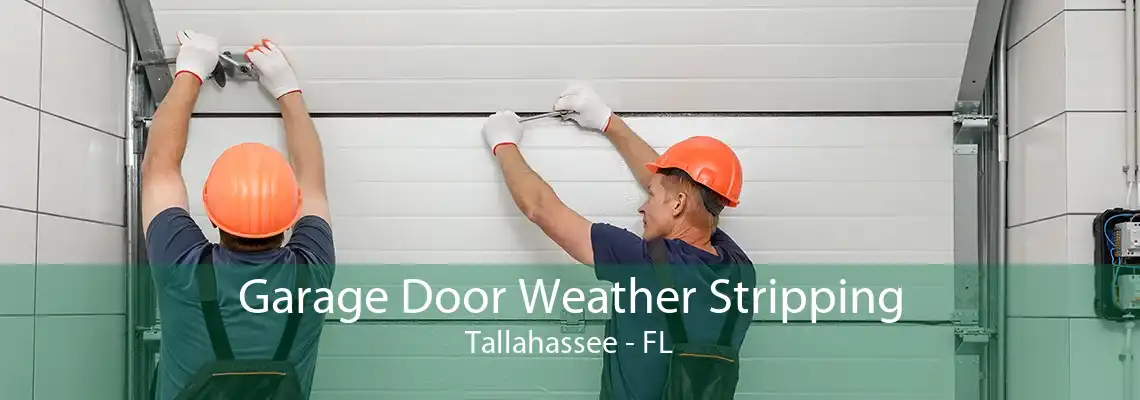 Garage Door Weather Stripping Tallahassee - FL