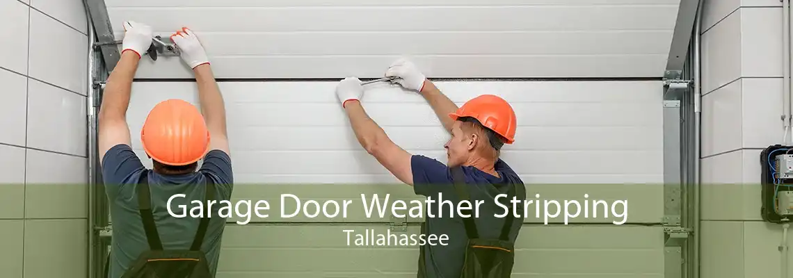 Garage Door Weather Stripping Tallahassee