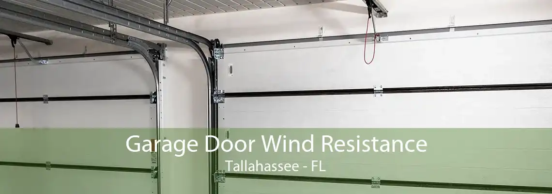 Garage Door Wind Resistance Tallahassee - FL