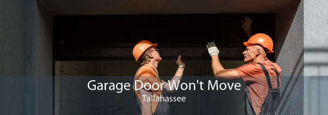 Garage Door Won't Move Tallahassee