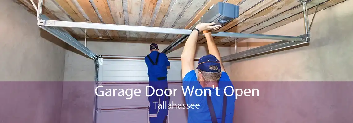 Garage Door Won't Open Tallahassee