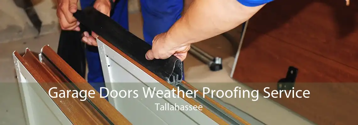 Garage Doors Weather Proofing Service Tallahassee