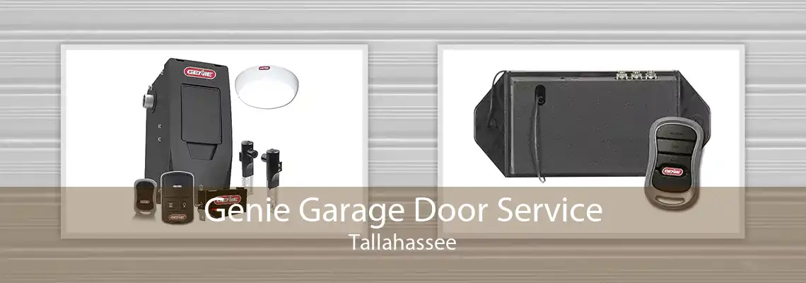 Genie Garage Door Service Tallahassee