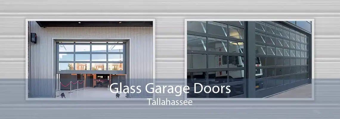 Glass Garage Doors Tallahassee