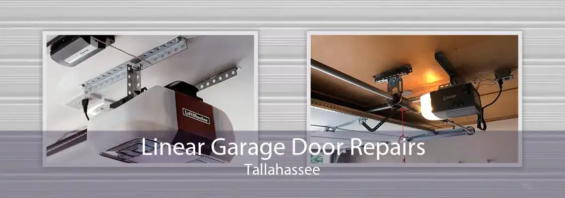 Linear Garage Door Repairs Tallahassee