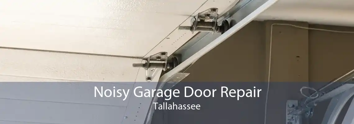 Noisy Garage Door Repair Tallahassee