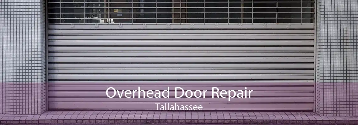 Overhead Door Repair Tallahassee