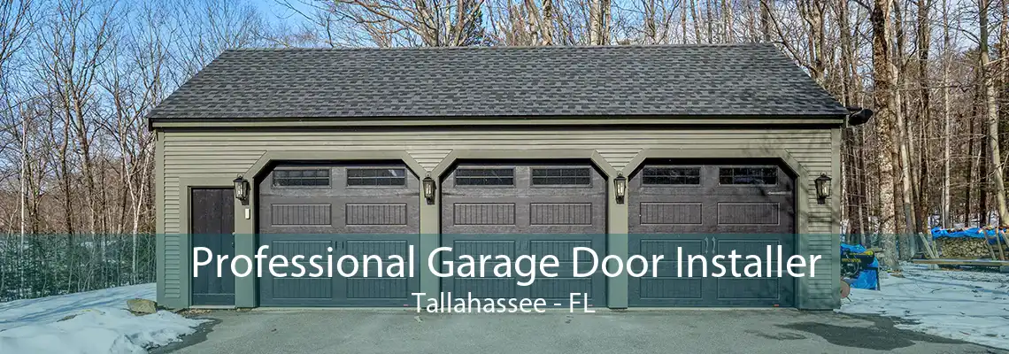 Professional Garage Door Installer Tallahassee - FL