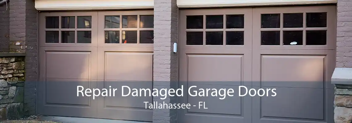 Repair Damaged Garage Doors Tallahassee - FL